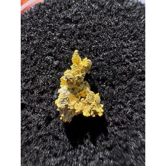 California Native Gold Crystal -  0.26 grams - Picture 4 of 4